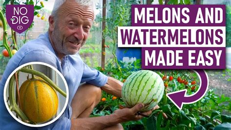 melonyube|Categories